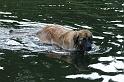 flaten_2008 jul 02_0282